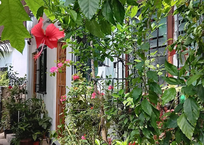 Susing Seaside Hostal