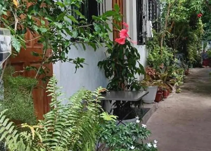 Hostal Susing Seaside Moalboal